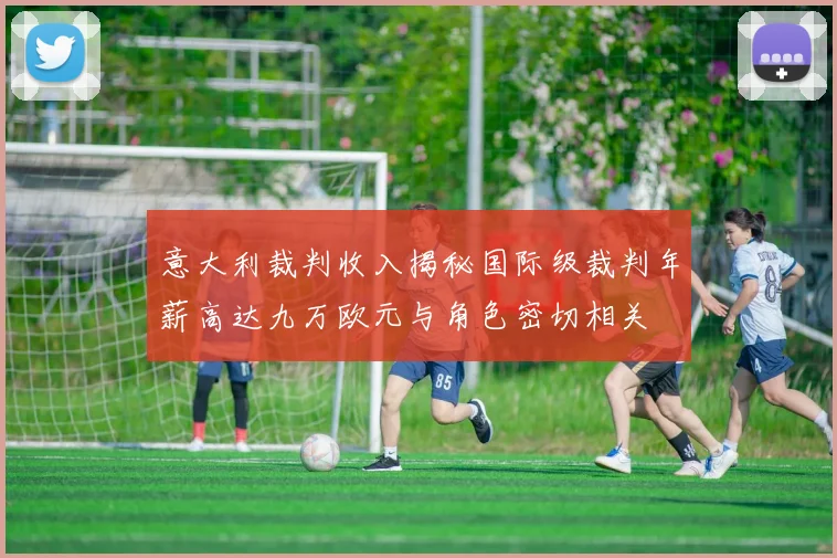 意大利裁判收入揭秘国际级裁判年薪高达九万欧元与角色密切相关