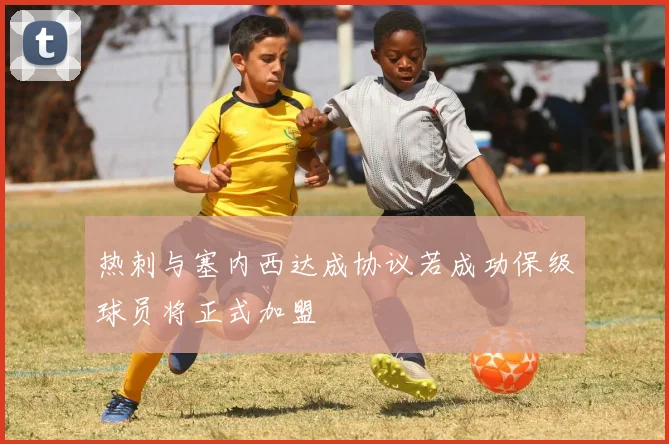 热刺与塞内西达成协议若成功保级球员将正式加盟